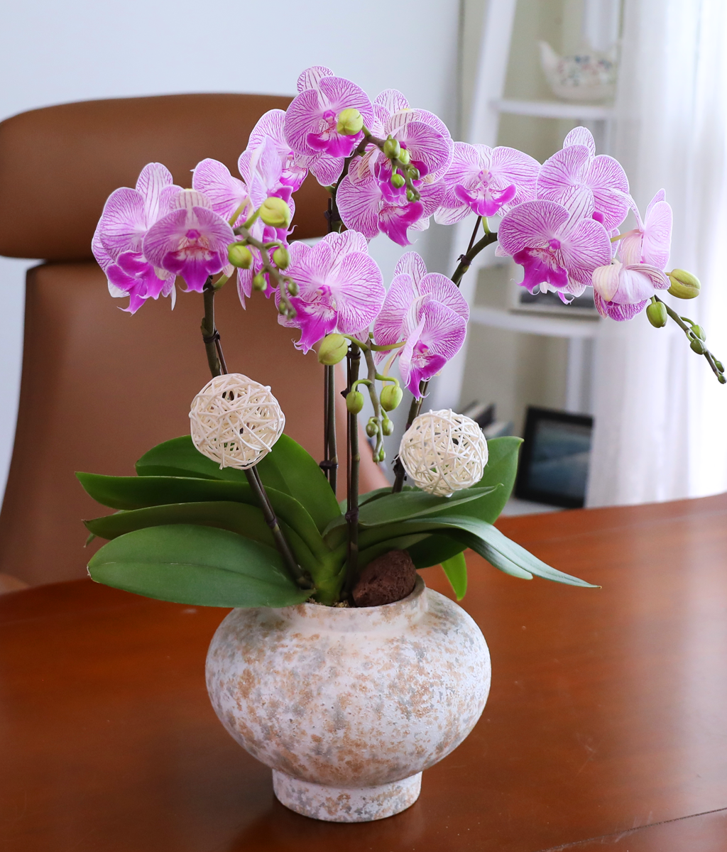 ��ƽ �� ��ũ - ������ �� ���� �ɹ��