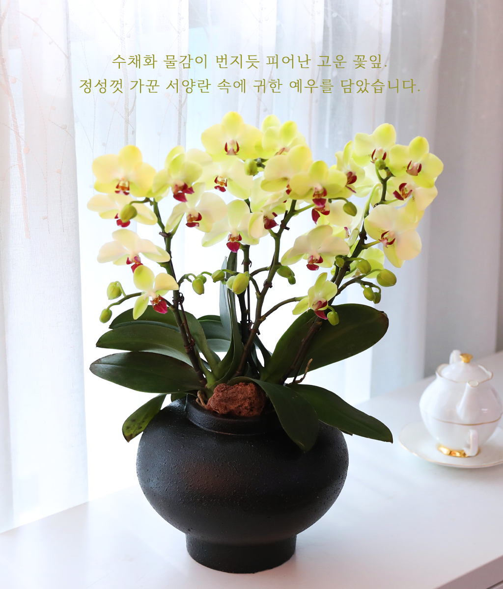 ��� �޺� ���� - ������ �� ���� �ɹ��