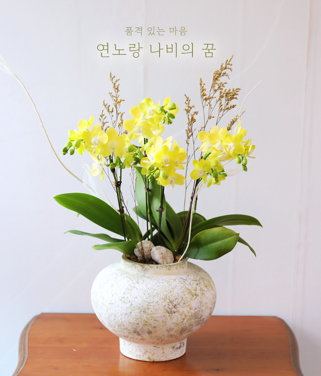 ����� ������ �� - ������ �� ���� �ɹ��