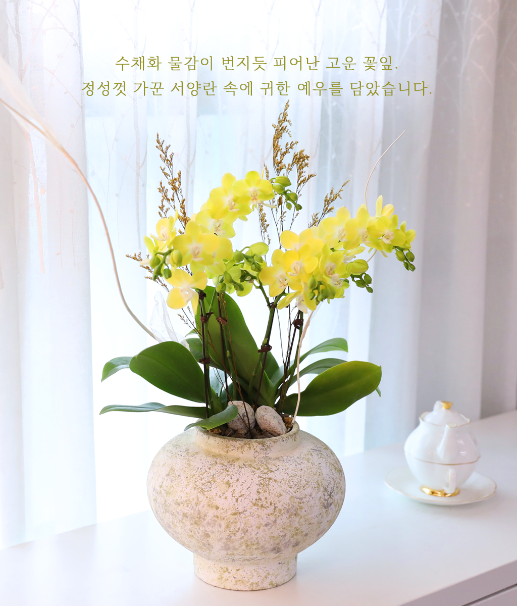 ����� ������ �� - ������ �� ���� �ɹ��