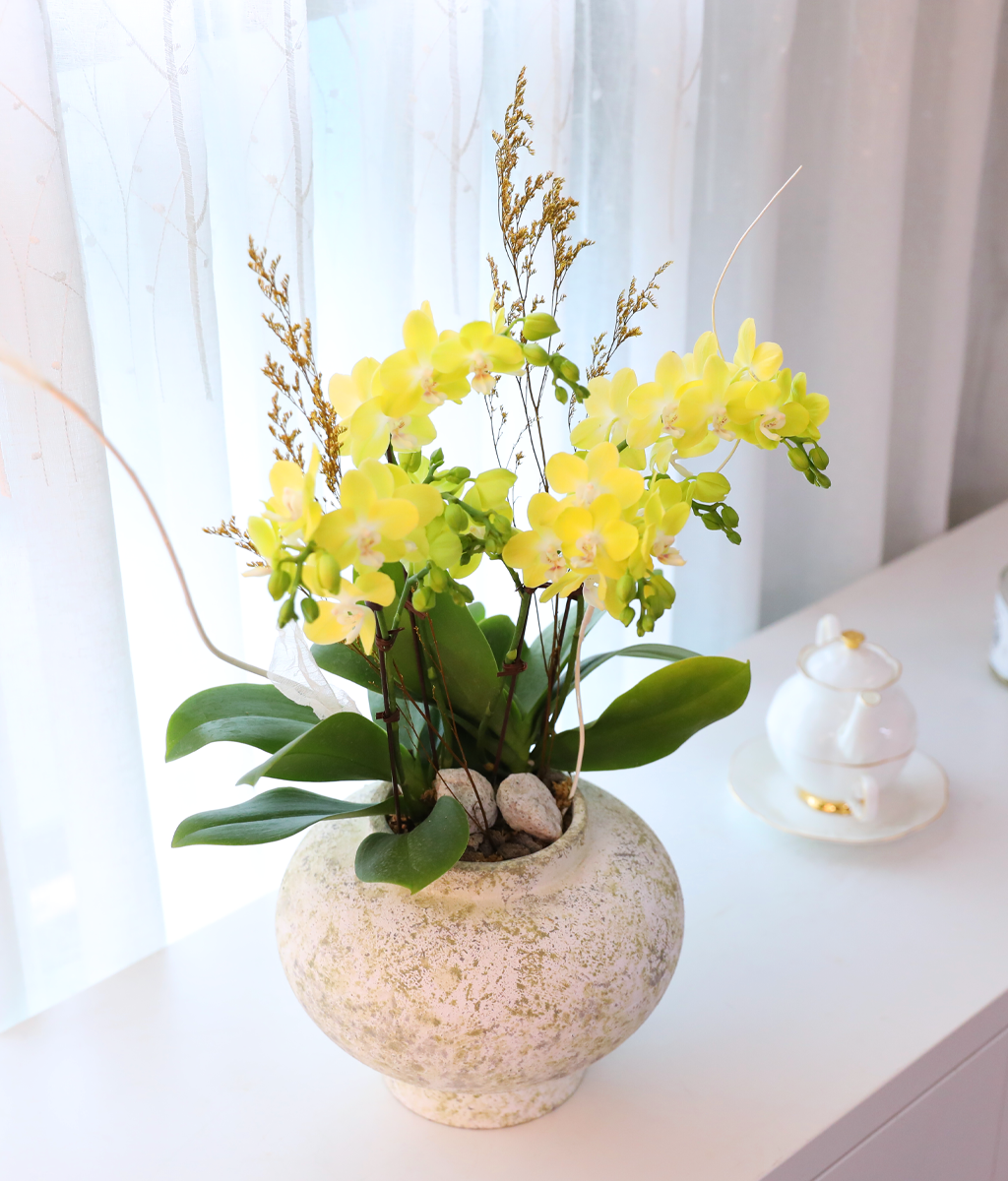 ����� ������ �� - ������ �� ���� �ɹ��