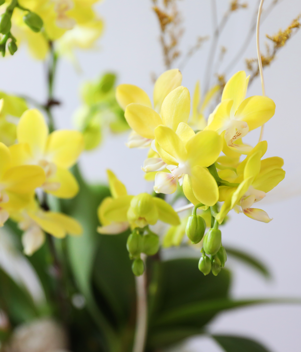 ����� ������ �� - ������ �� ���� �ɹ��