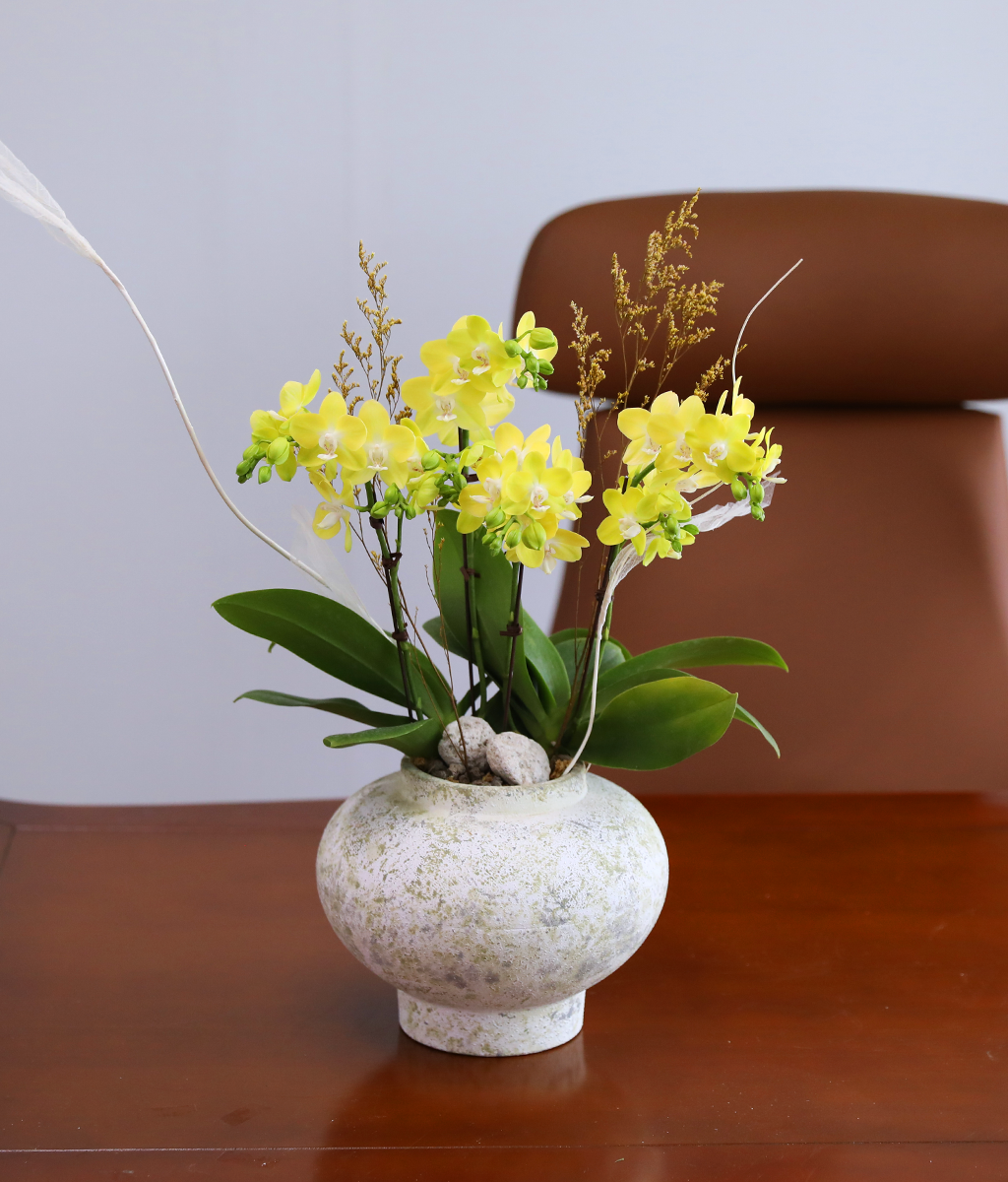 ����� ������ �� - ������ �� ���� �ɹ��