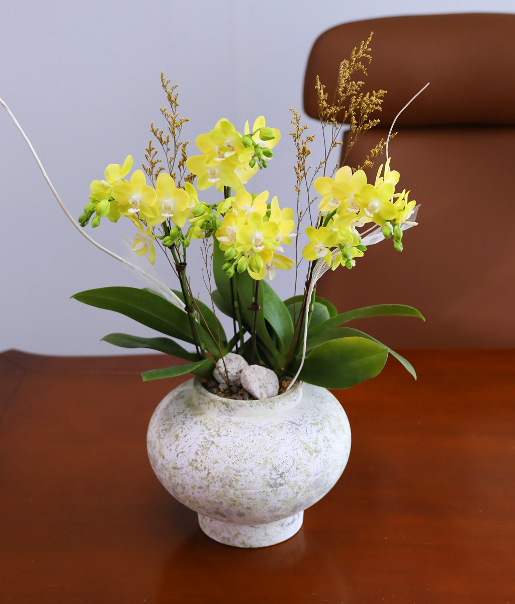 ����� ������ �� - ������ �� ���� �ɹ��