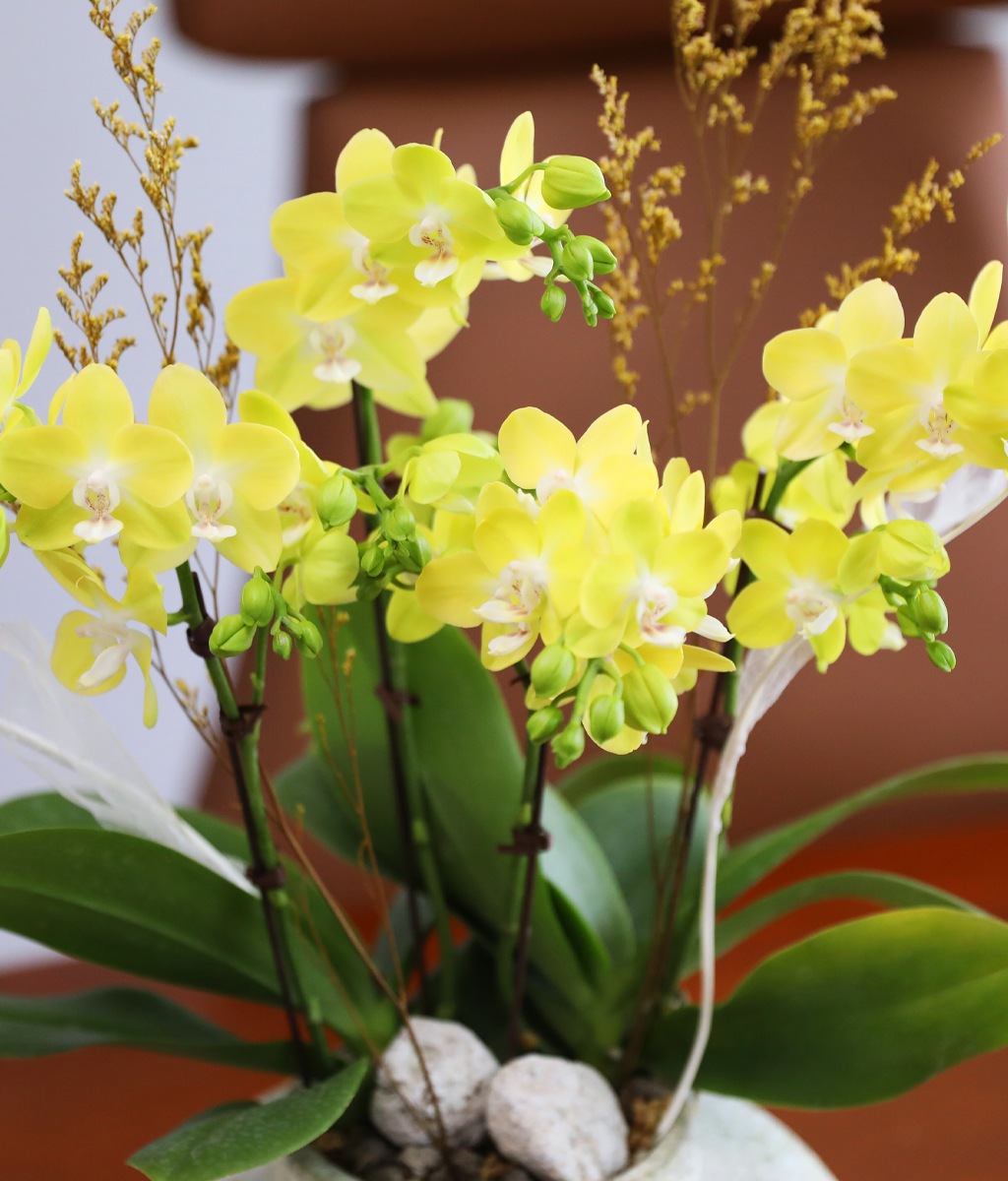 ����� ������ �� - ������ �� ���� �ɹ��