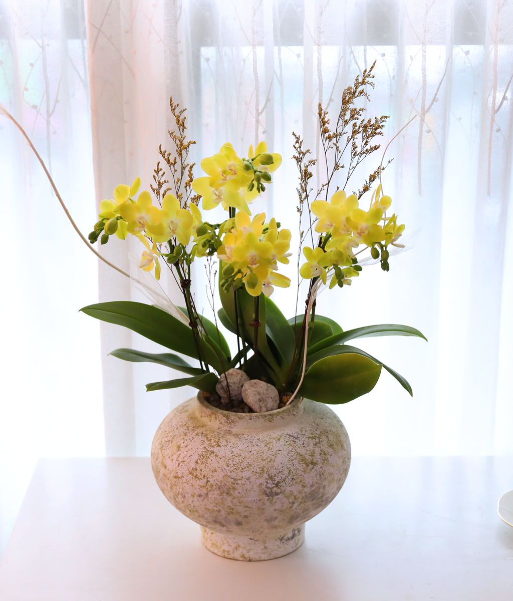 ����� ������ �� - ������ �� ���� �ɹ��