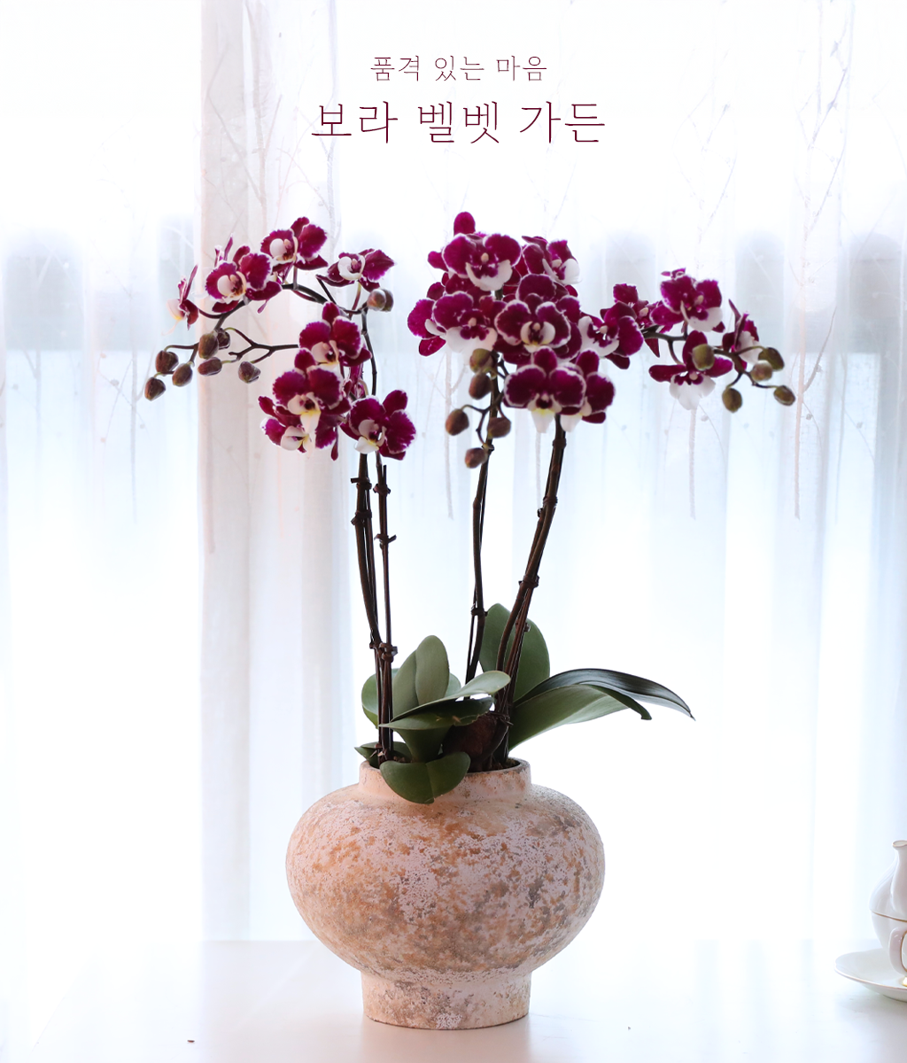 ���� ���� ���� - ������ �� ���� �ɹ��