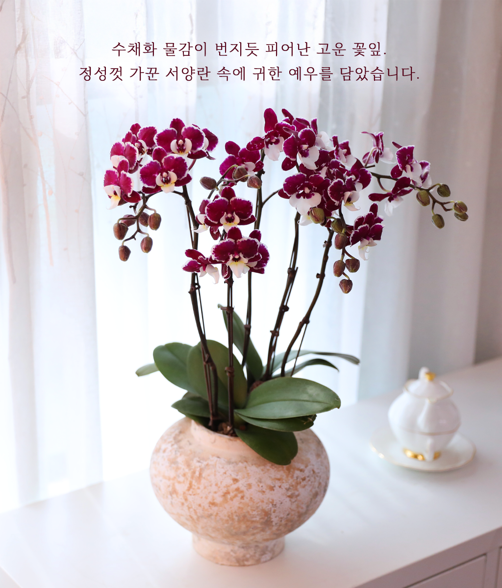 ���� ���� ���� - ������ �� ���� �ɹ��