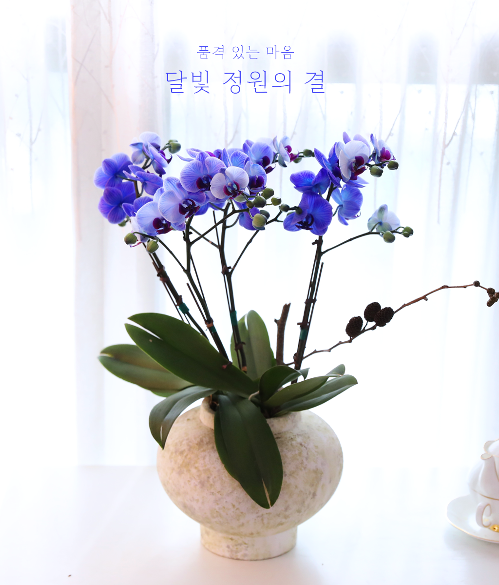 �޺� ������ �� - ������ �� ���� �ɹ��