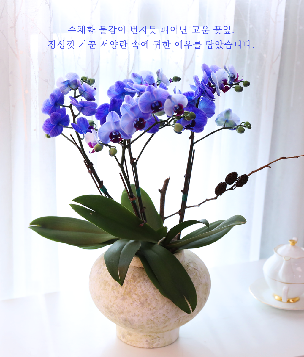 �޺� ������ �� - ������ �� ���� �ɹ��