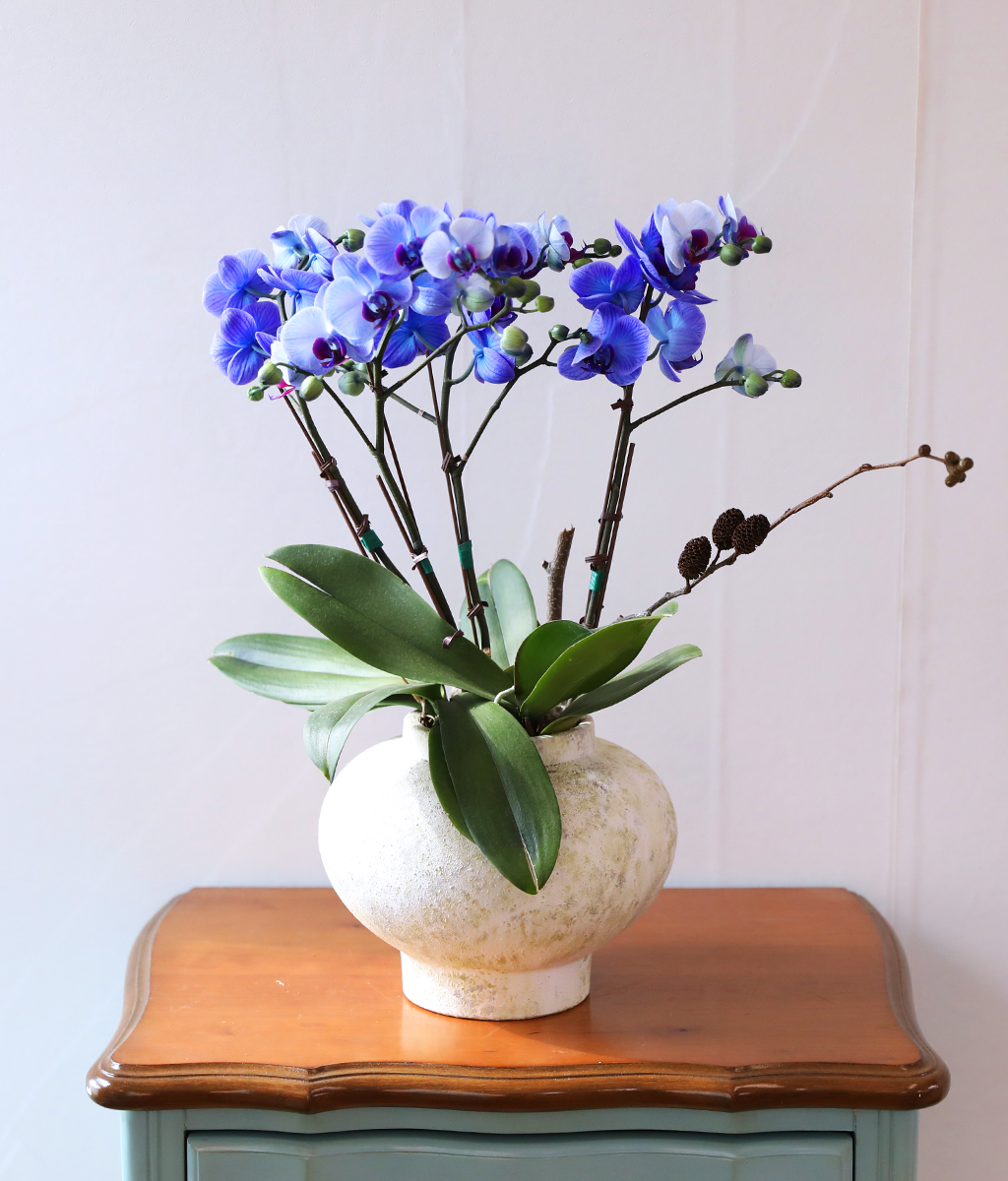 �޺� ������ �� - ������ �� ���� �ɹ��