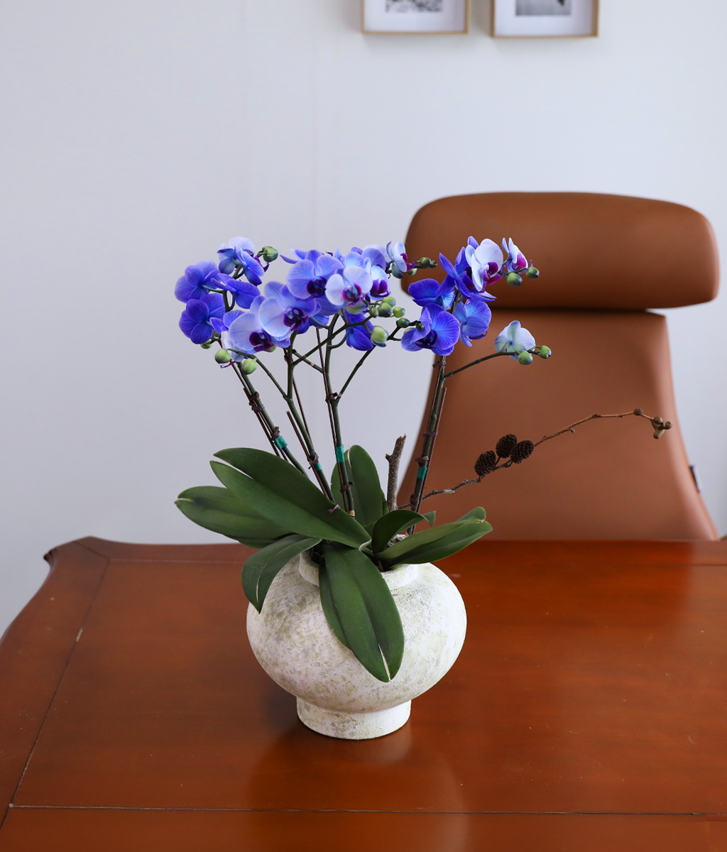 �޺� ������ �� - ������ �� ���� �ɹ��