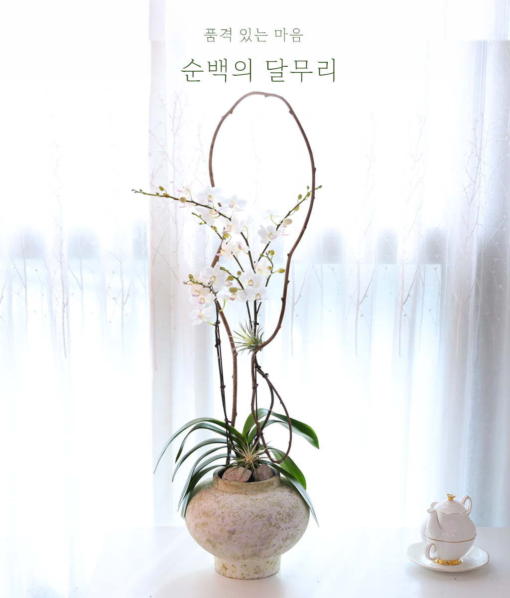 ������ �޹��� - ������ �� ���� �ɹ��