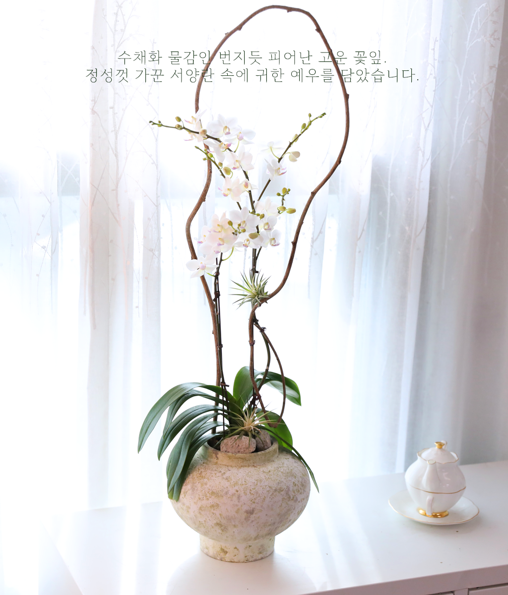 ������ �޹��� - ������ �� ���� �ɹ��