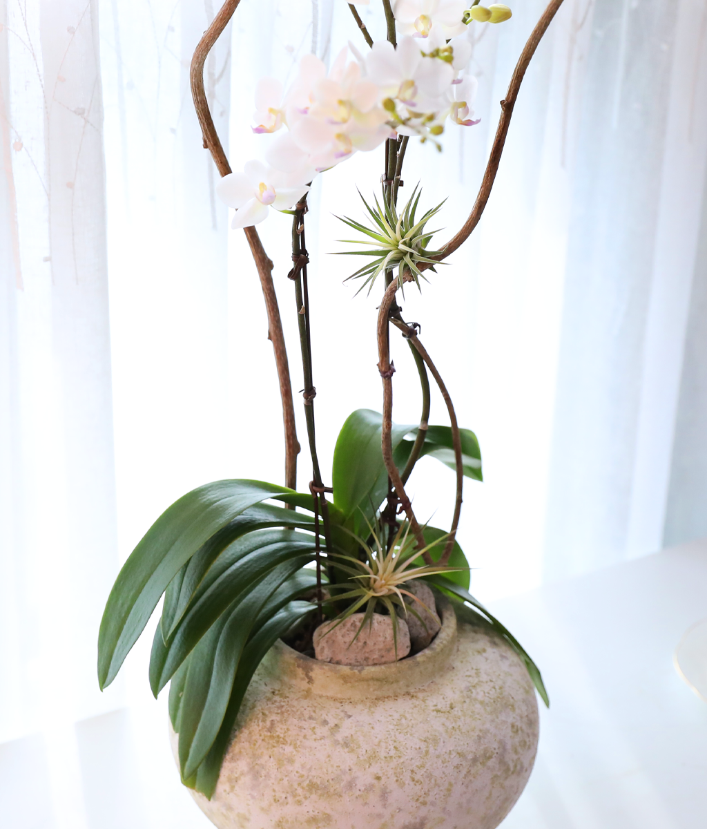 ������ �޹��� - ������ �� ���� �ɹ��