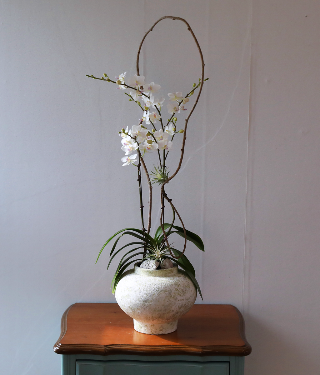 ������ �޹��� - ������ �� ���� �ɹ��