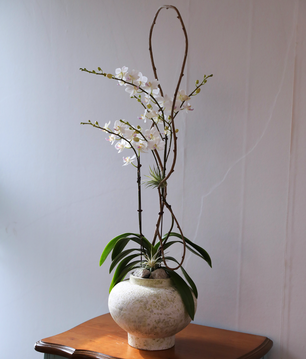 ������ �޹��� - ������ �� ���� �ɹ��