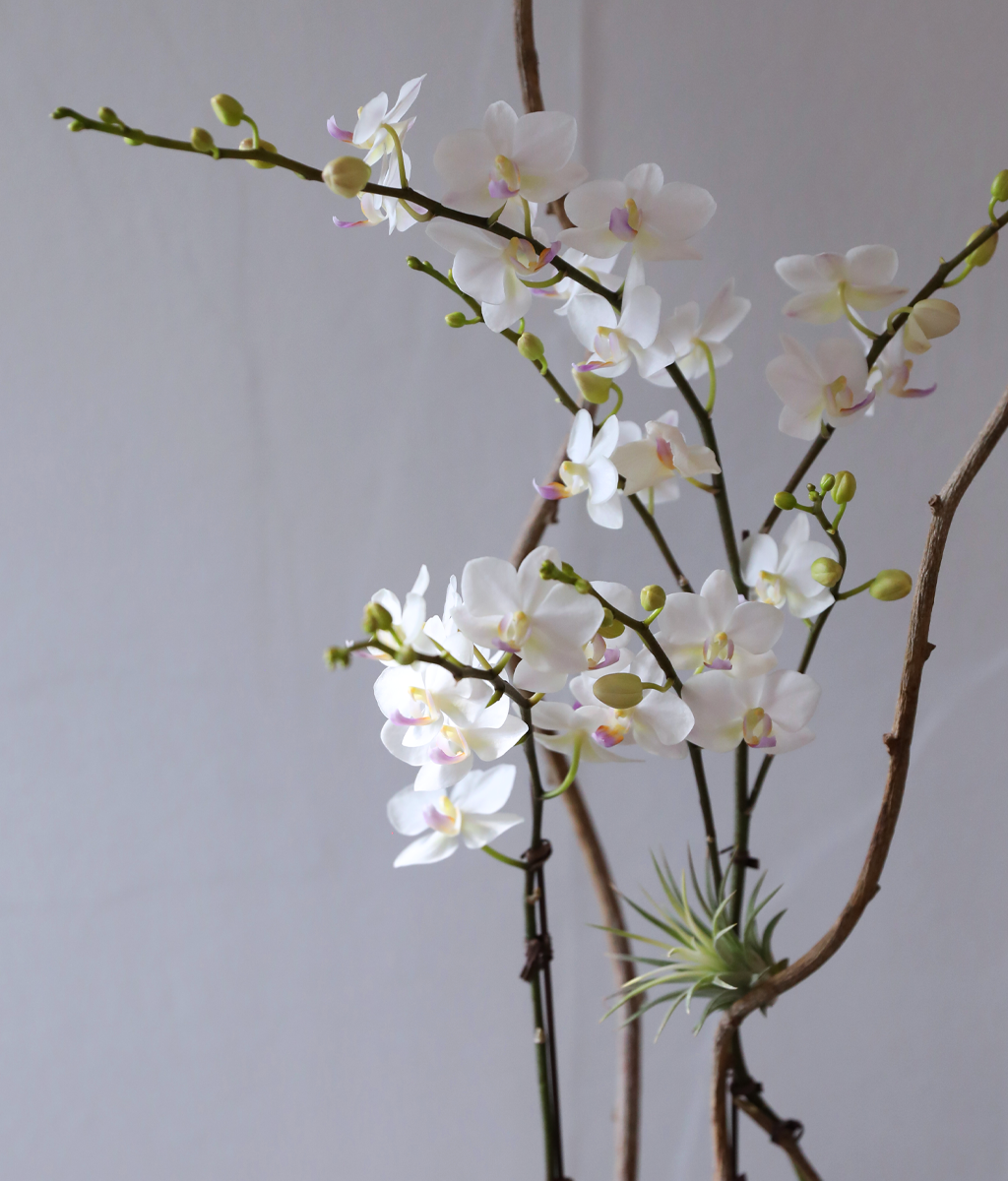 ������ �޹��� - ������ �� ���� �ɹ��