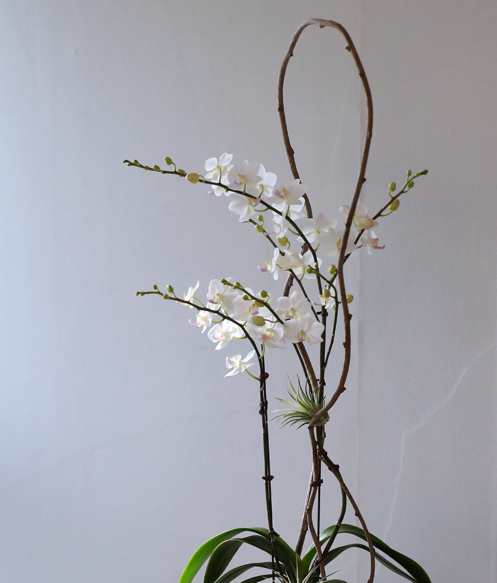 ������ �޹��� - ������ �� ���� �ɹ��