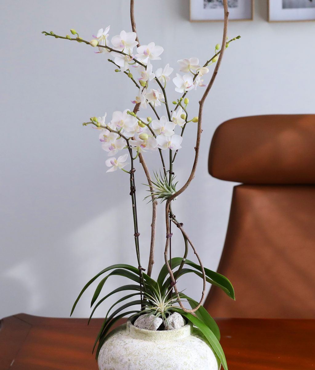 ������ �޹��� - ������ �� ���� �ɹ��