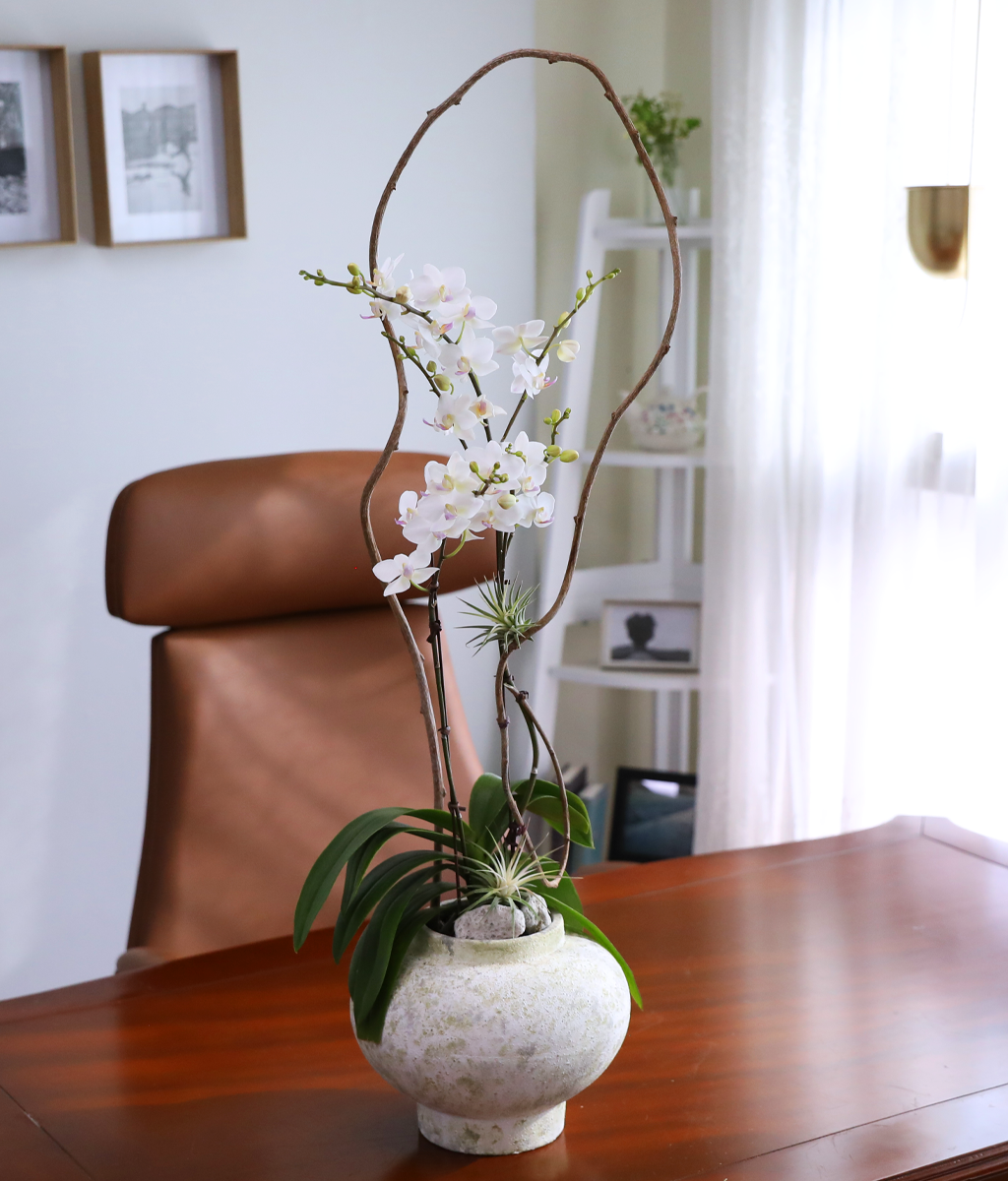 ������ �޹��� - ������ �� ���� �ɹ��