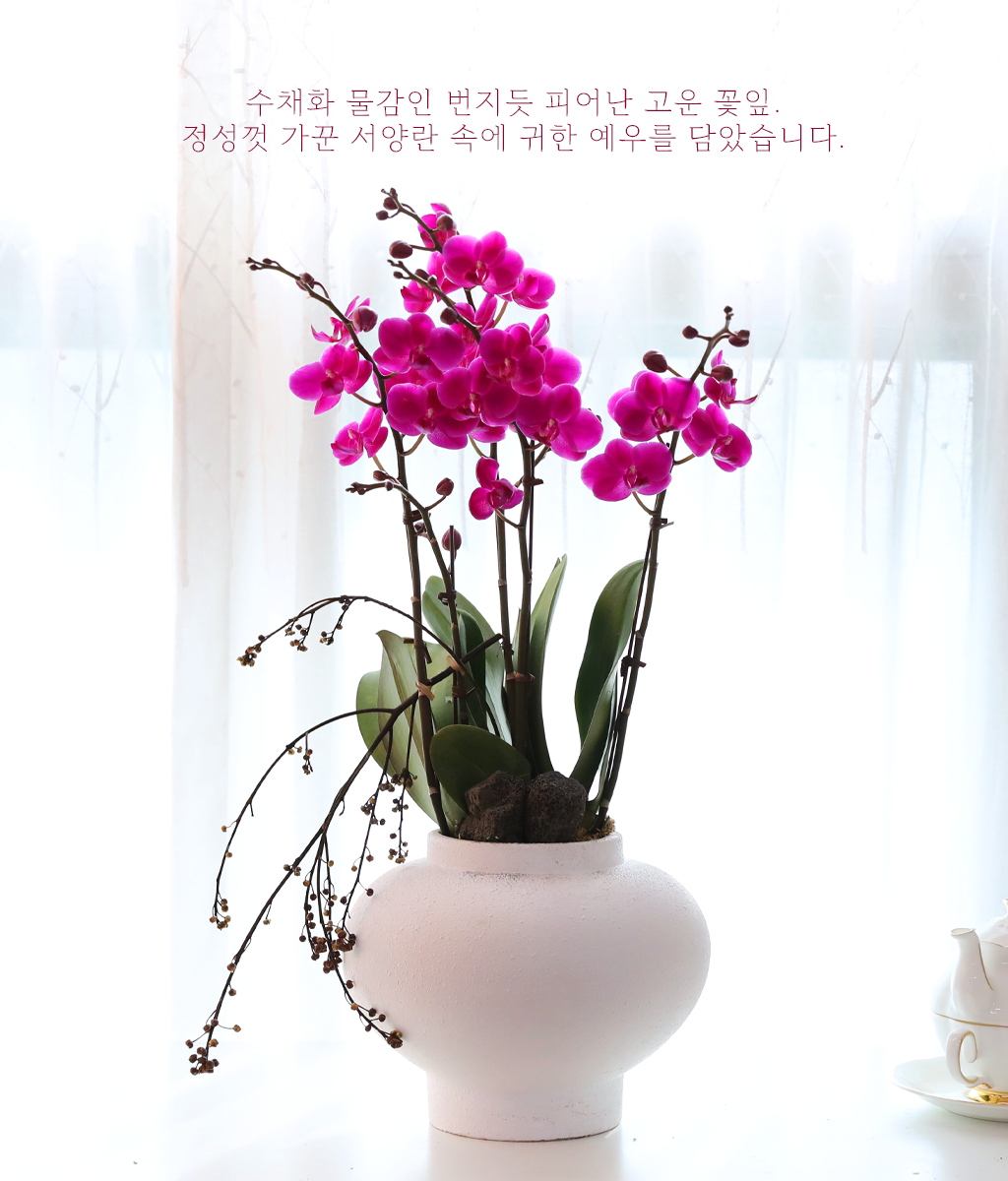 ���� ���ֺ� ���׾Ƹ� - ������ ��