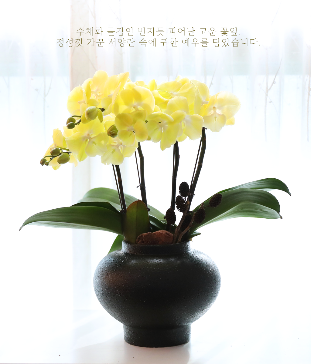 ���� �����ö��� - ������ �� ���� �ɹ��