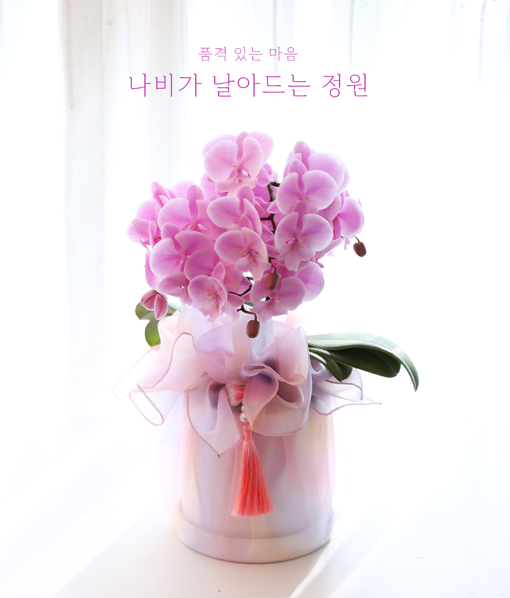 ³ªºñ°¡ ³¯¾Æµå´Â Á¤¿ø - ³ªºñÀÇ ¶ã