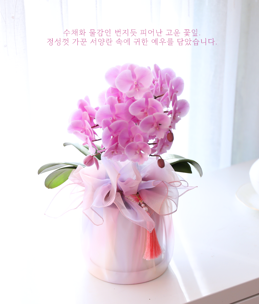 ³ªºñ°¡ ³¯¾Æµå´Â Á¤¿ø - ³ªºñÀÇ ¶ã