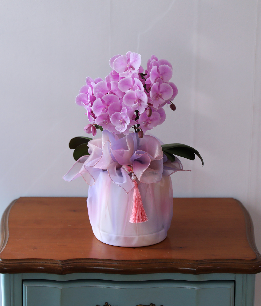 ³ªºñ°¡ ³¯¾Æµå´Â Á¤¿ø - ³ªºñÀÇ ¶ã