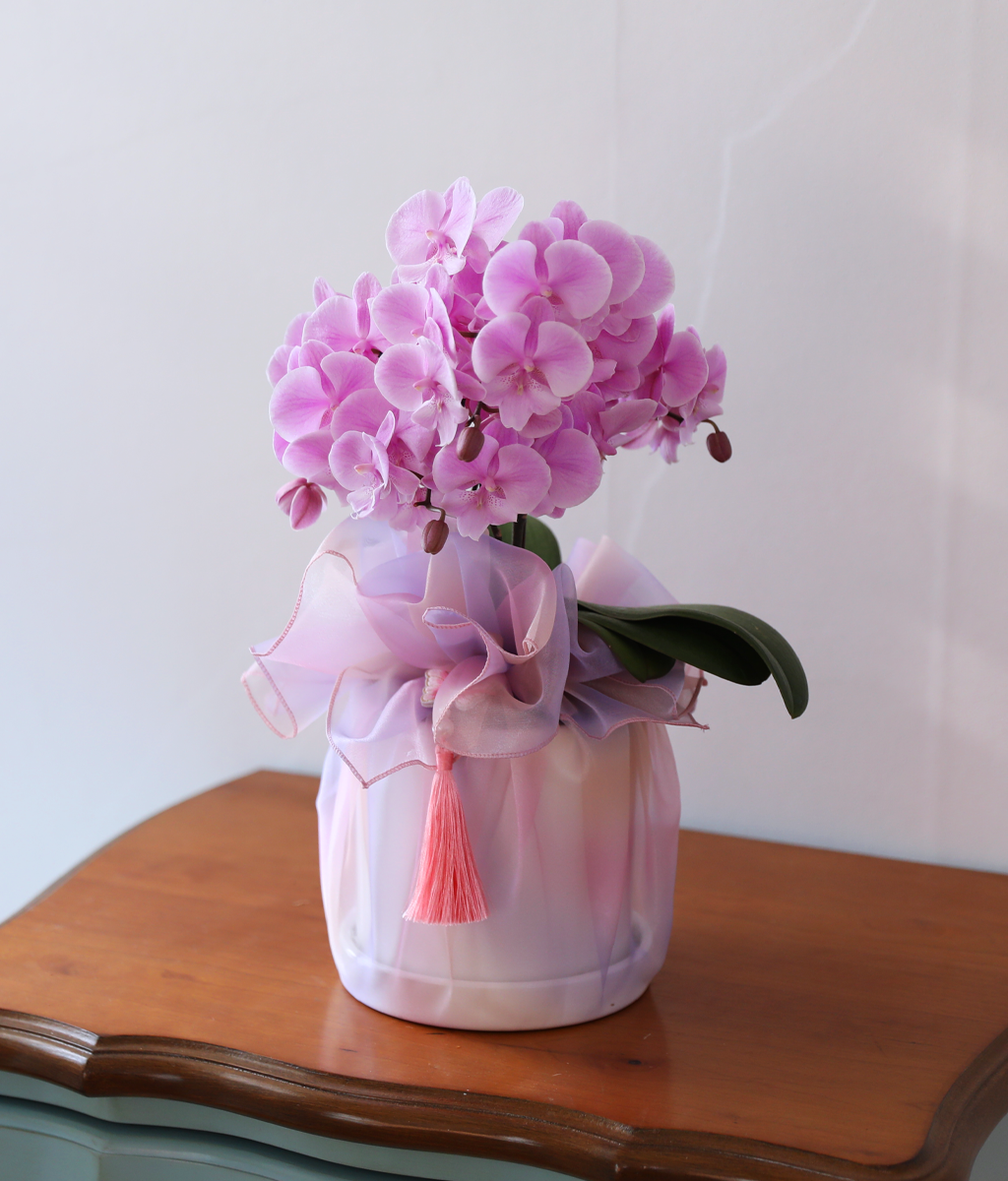 ³ªºñ°¡ ³¯¾Æµå´Â Á¤¿ø - ³ªºñÀÇ ¶ã