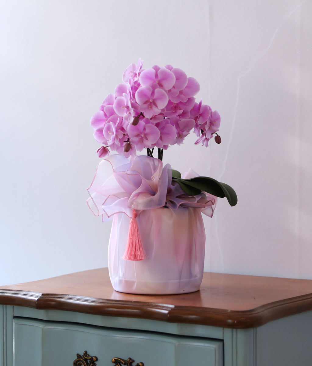 ³ªºñ°¡ ³¯¾Æµå´Â Á¤¿ø - ³ªºñÀÇ ¶ã