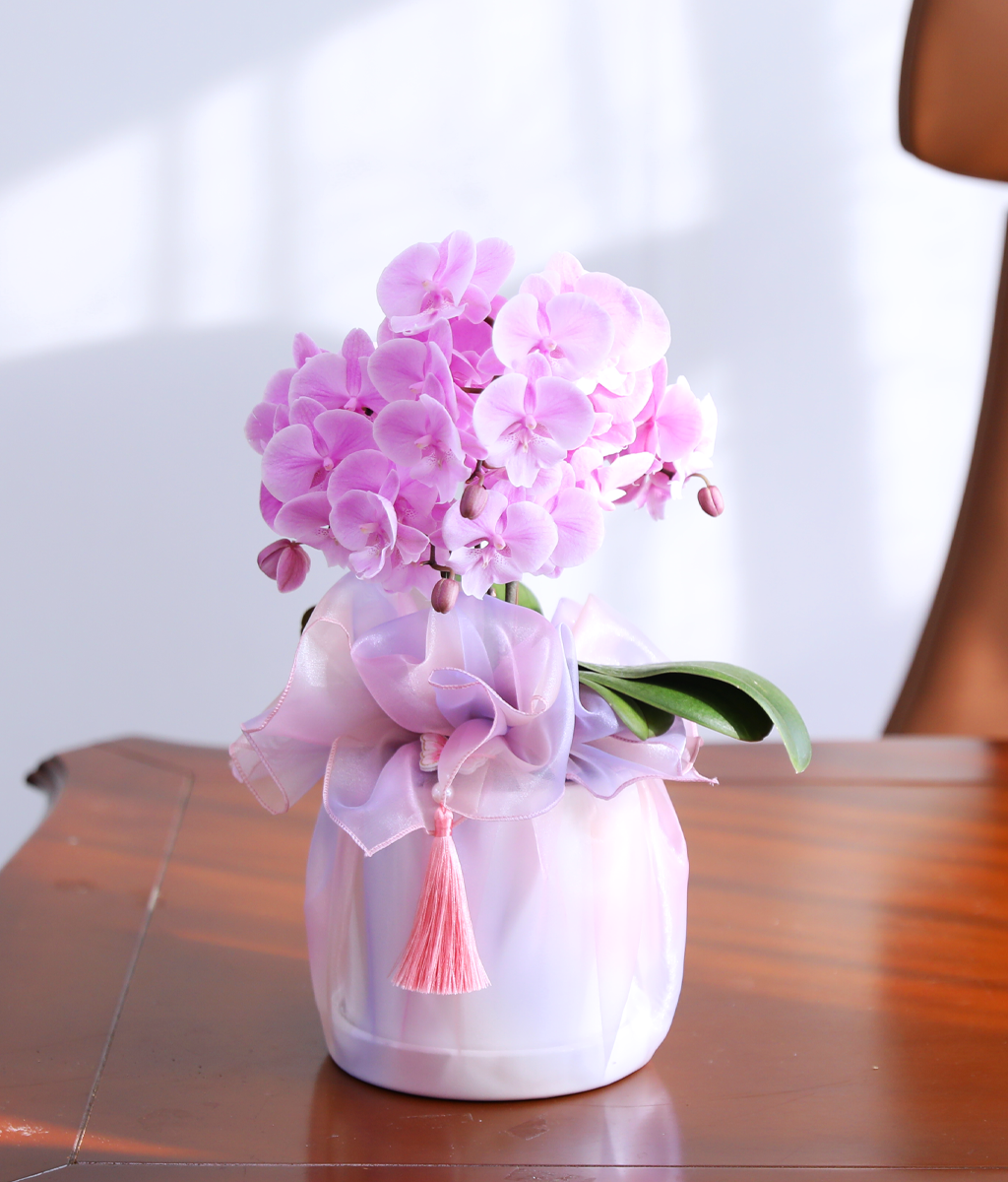 ³ªºñ°¡ ³¯¾Æµå´Â Á¤¿ø - ³ªºñÀÇ ¶ã