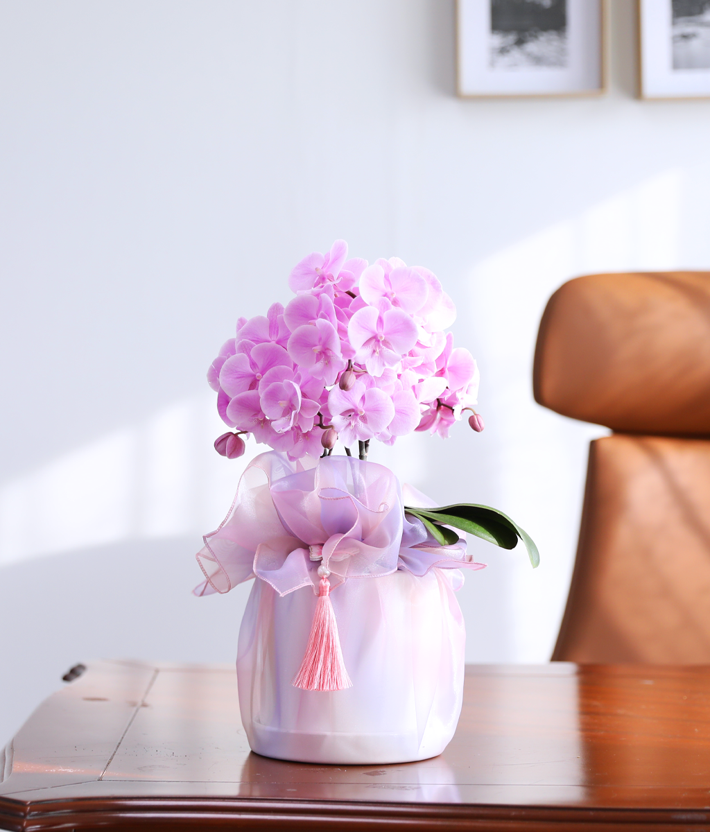 ³ªºñ°¡ ³¯¾Æµå´Â Á¤¿ø - ³ªºñÀÇ ¶ã