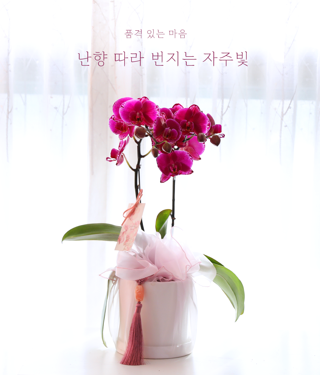 ³Çâ µû¶ó ¹øÁö´Â ÀÚÁÖºû - ³ªºñÀÇ ¶ã