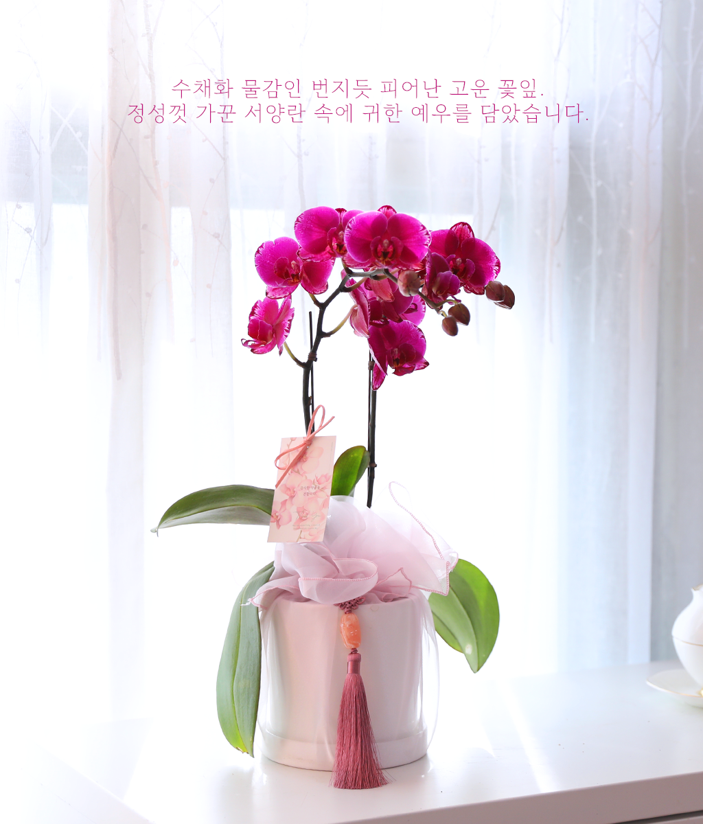 ³Çâ µû¶ó ¹øÁö´Â ÀÚÁÖºû - ³ªºñÀÇ ¶ã