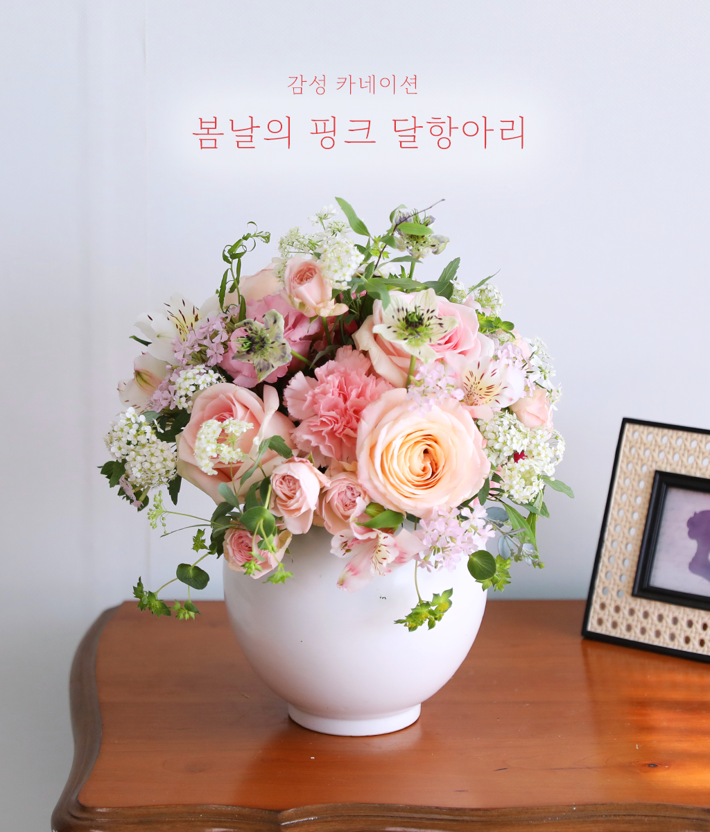 º½³¯ÀÇ ÇÎÅ© ´ÞÇ׾Ƹ® - °¨¼º Ä«³×À̼Ç