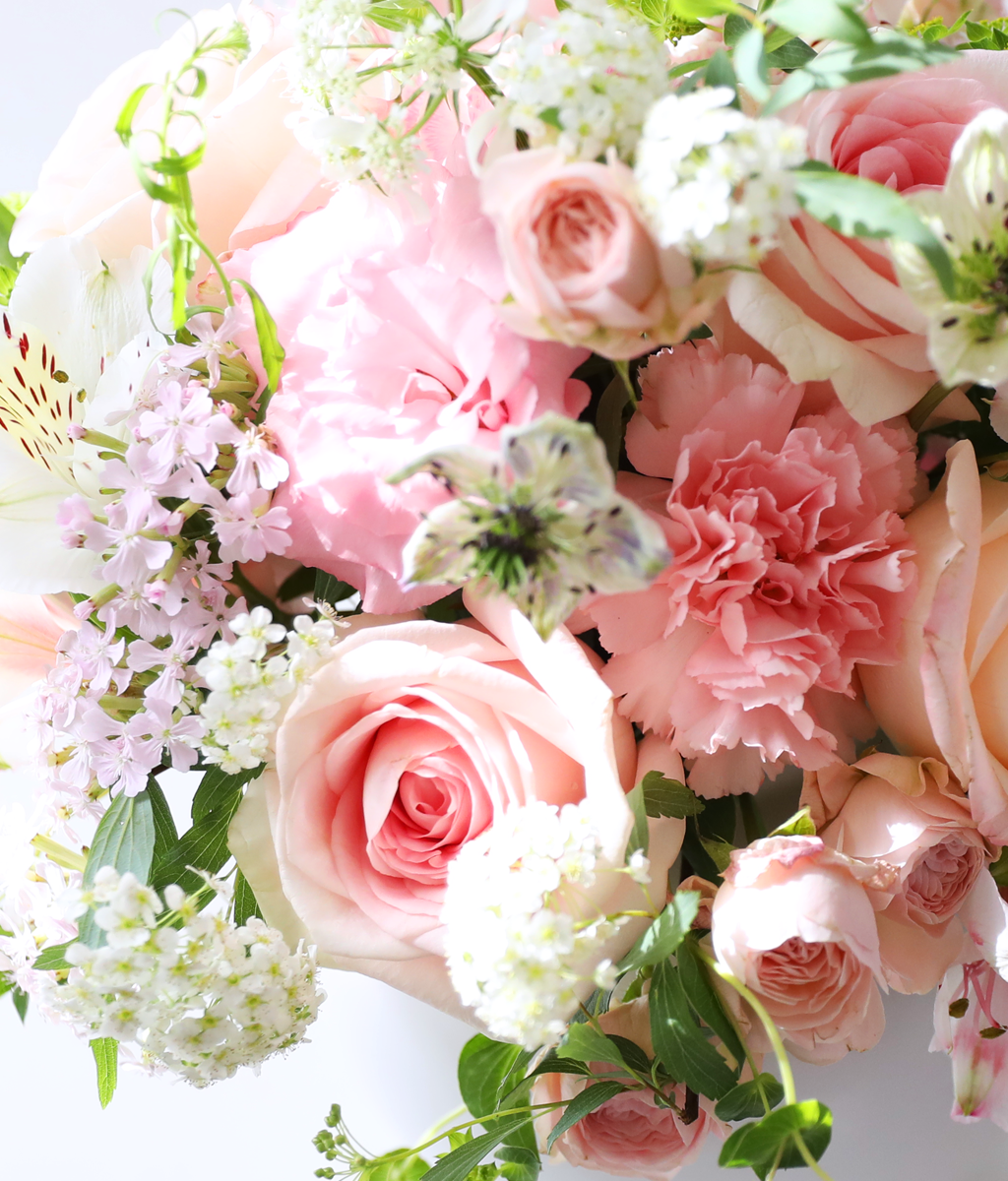 º½³¯ÀÇ ÇÎÅ© ´ÞÇ׾Ƹ® - °¨¼º Ä«³×À̼Ç