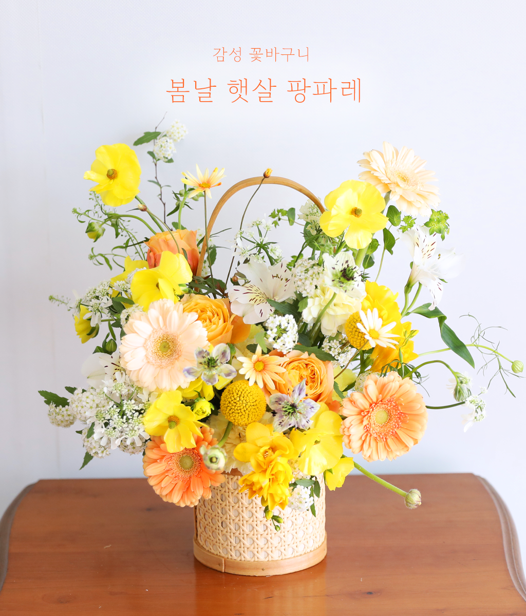 º½³¯ ÇÞ»ì ÆÎÆÄ·¹ - °¨¼º ²É¹Ù±¸´Ï