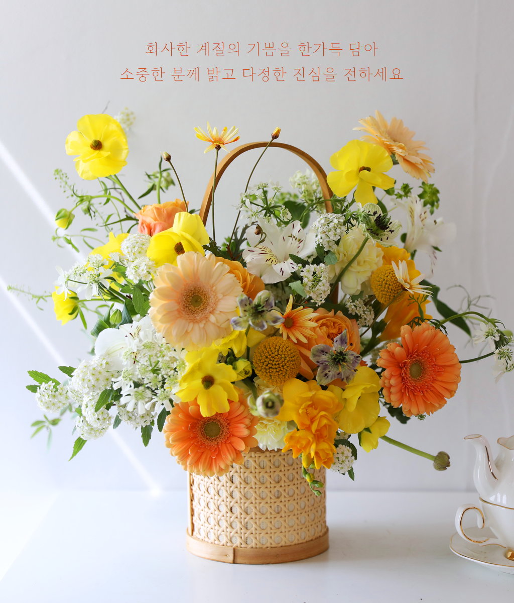 º½³¯ ÇÞ»ì ÆÎÆÄ·¹ - °¨¼º ²É¹Ù±¸´Ï