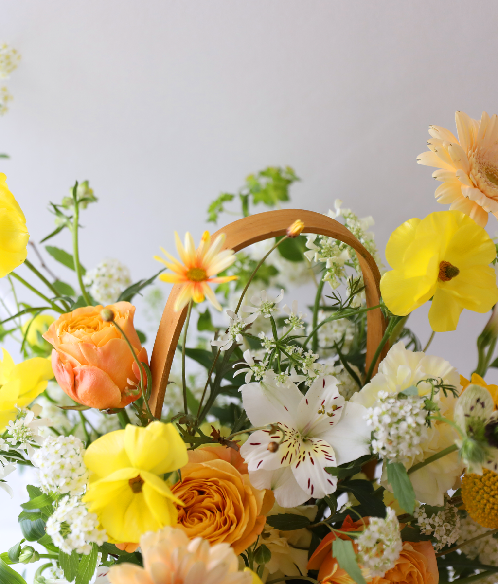 º½³¯ ÇÞ»ì ÆÎÆÄ·¹ - °¨¼º ²É¹Ù±¸´Ï