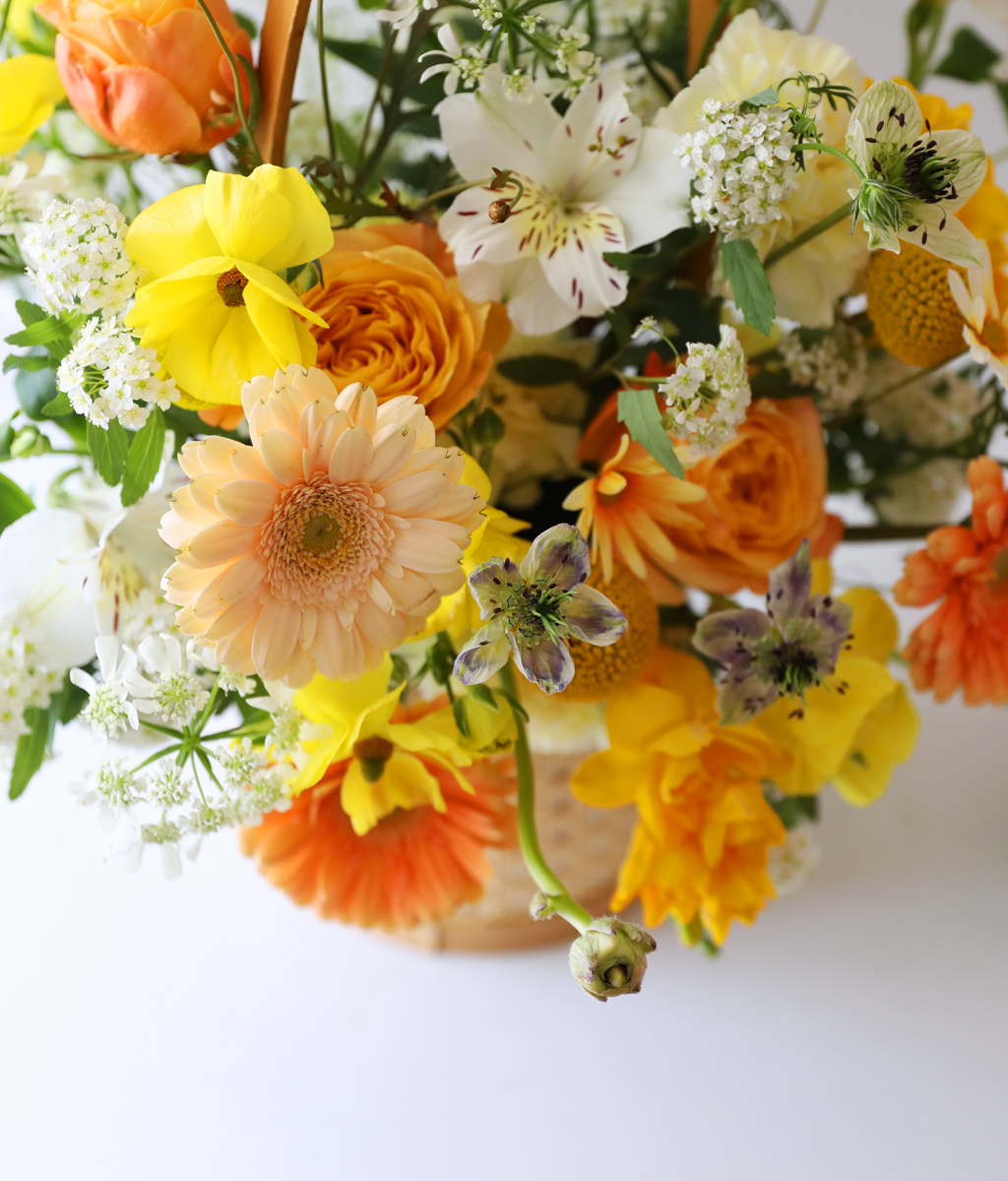 º½³¯ ÇÞ»ì ÆÎÆÄ·¹ - °¨¼º ²É¹Ù±¸´Ï