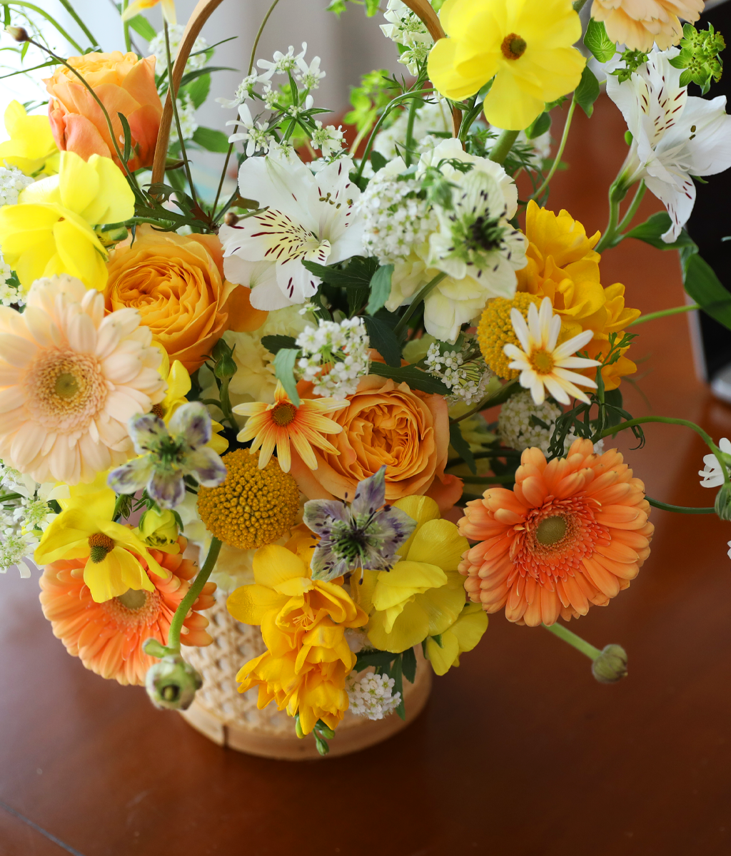 º½³¯ ÇÞ»ì ÆÎÆÄ·¹ - °¨¼º ²É¹Ù±¸´Ï