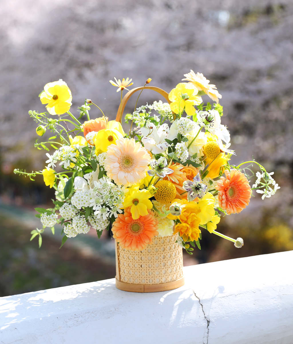 º½³¯ ÇÞ»ì ÆÎÆÄ·¹ - °¨¼º ²É¹Ù±¸´Ï