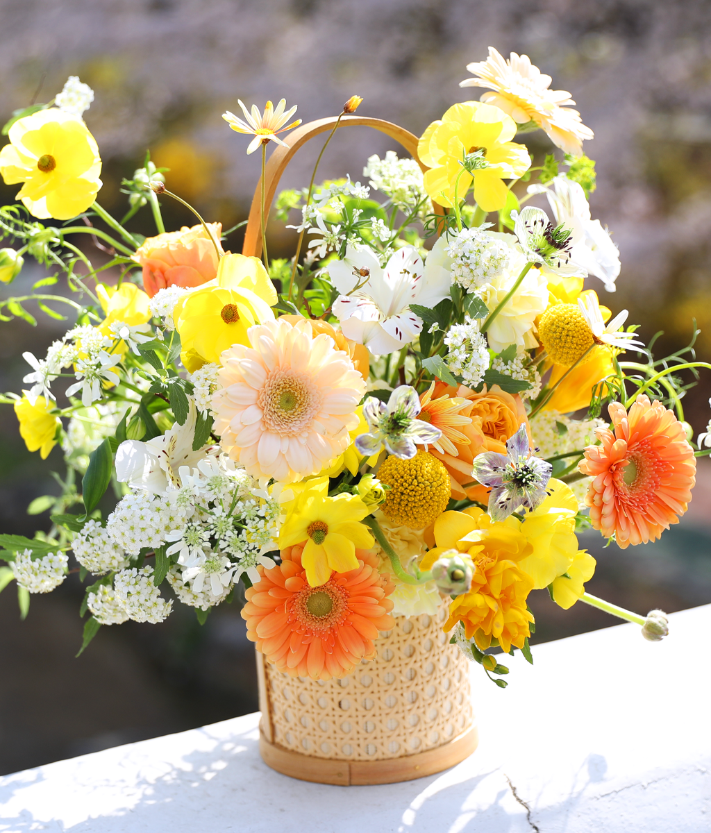 º½³¯ ÇÞ»ì ÆÎÆÄ·¹ - °¨¼º ²É¹Ù±¸´Ï