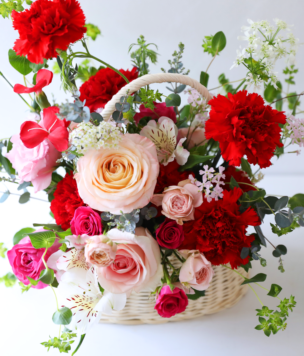 »ç¶ûÀÇ ½ºÇÁ¸µ ·¹µå - °¨¼º Ä«³×À̼Ç