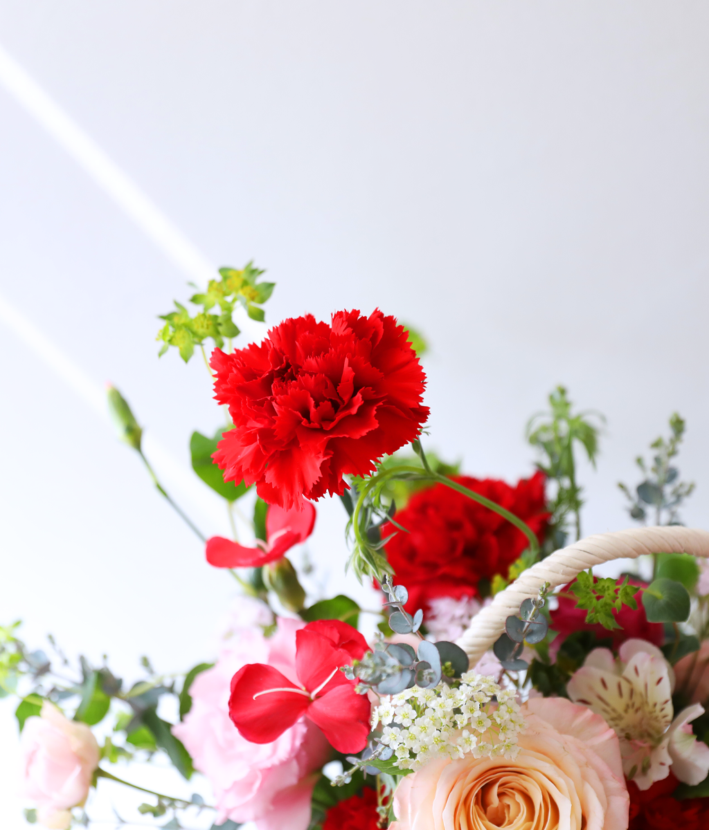 »ç¶ûÀÇ ½ºÇÁ¸µ ·¹µå - °¨¼º Ä«³×À̼Ç