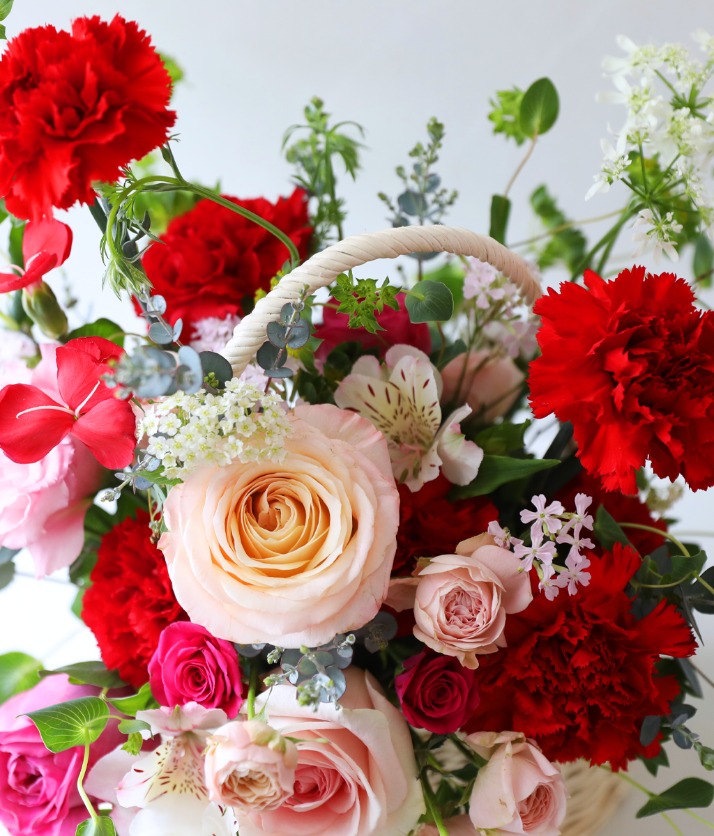 »ç¶ûÀÇ ½ºÇÁ¸µ ·¹µå - °¨¼º Ä«³×À̼Ç