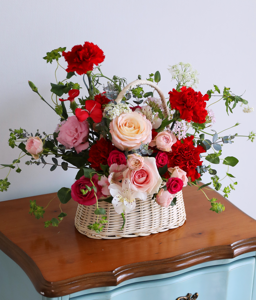 »ç¶ûÀÇ ½ºÇÁ¸µ ·¹µå - °¨¼º Ä«³×À̼Ç