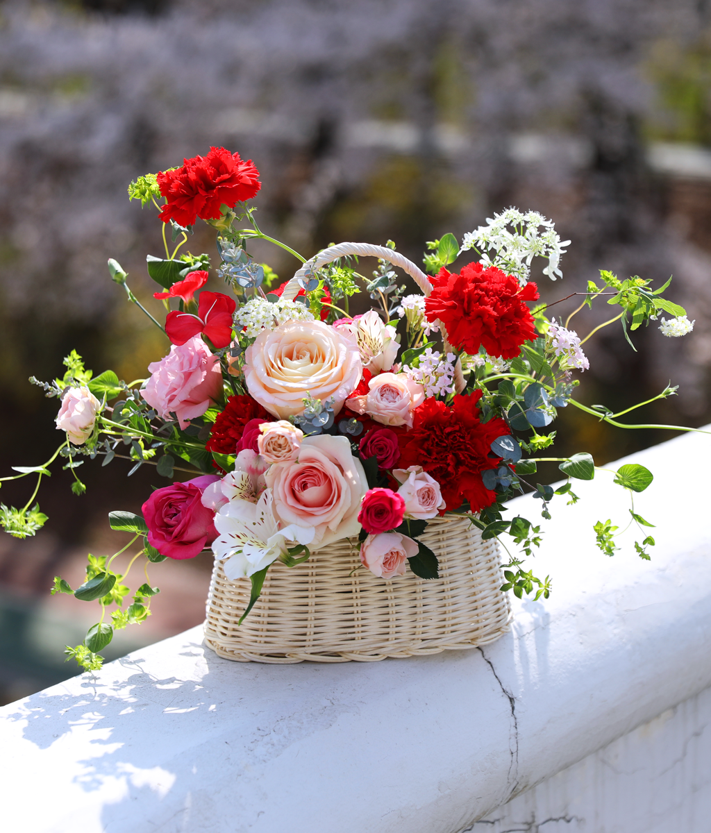 »ç¶ûÀÇ ½ºÇÁ¸µ ·¹µå - °¨¼º Ä«³×À̼Ç